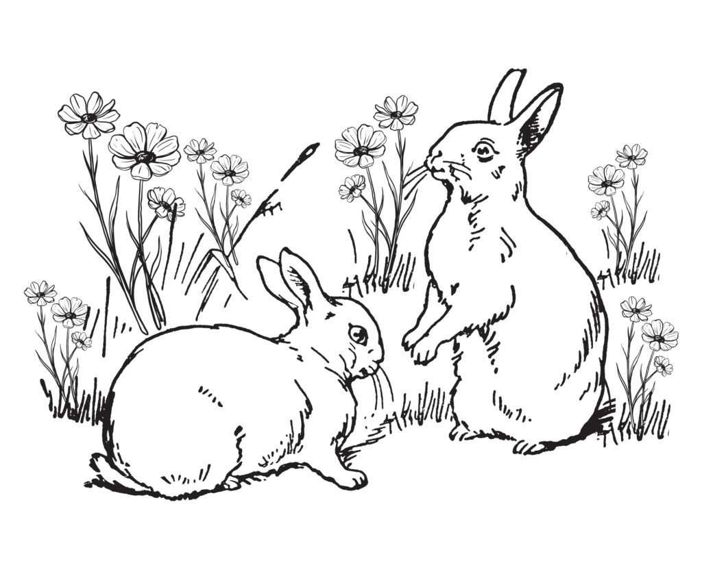 Bunnies in Wildflowers Free Printable